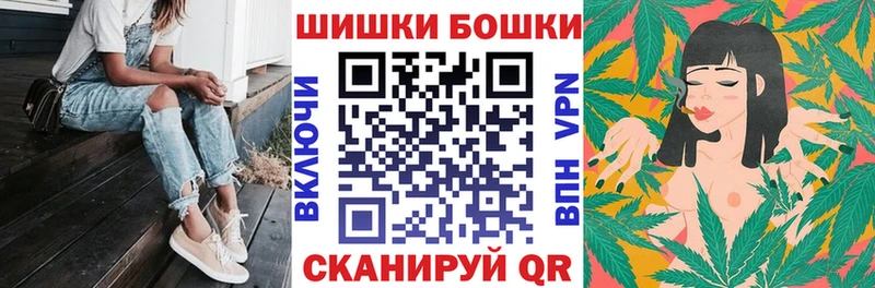 сколько стоит  Покачи  omg как зайти  Каннабис сатива 